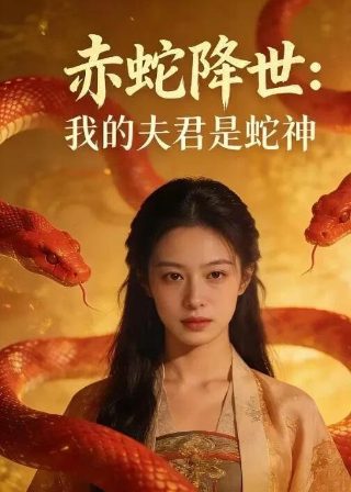 我的前半生第二部电视剧免费播放全集