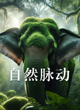 天眼粤语下载