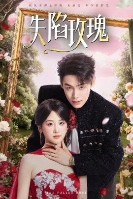 《北京故事》完整版阅读感想怎么写