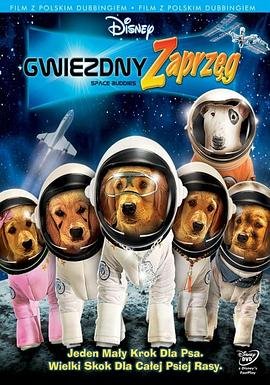 电视剧《双程》35集播放在线观看下载