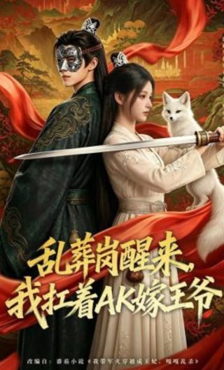 流金岁月评分8.5