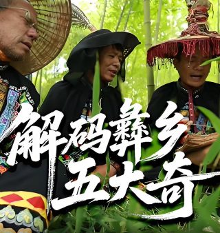 做梦就起飞这梦不敢做了短剧李艳红谁演的