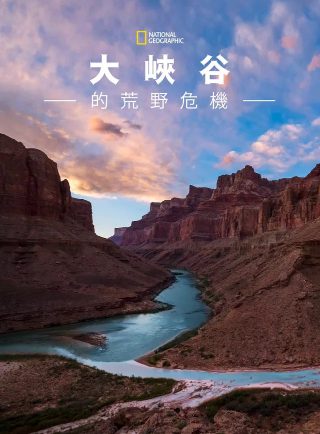 日本刑侦推理电视剧