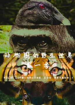 《大嘴巴嘟嘟》全集观看完整版视频
