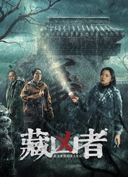 无间道图片宣传片