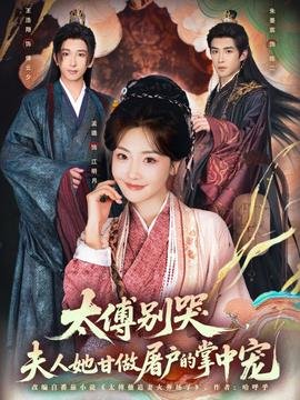 我真正的天才女友百度云