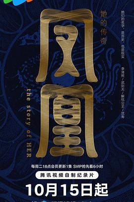 电视剧天下第一在线观看 全集视频