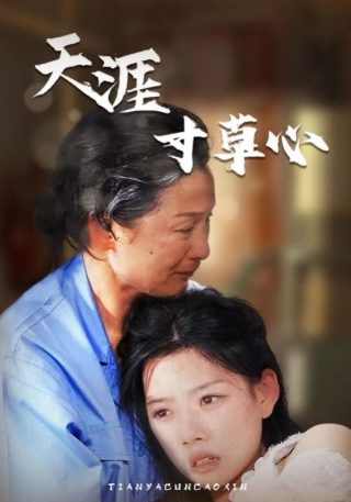 忏悔2005提取码免费领取