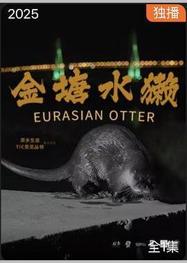奇遇在线观看免费观看下载全集视频
