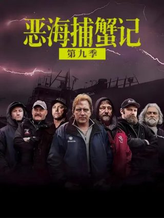 电视剧《知青家庭》全集播放在线观看