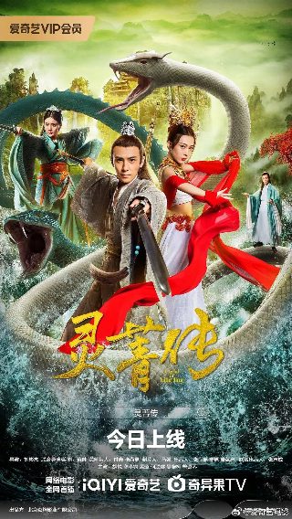 中华大丈夫剧情介绍全集在线观看免费