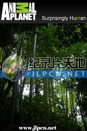 平凡的世界第三部每章概括10