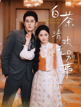 二龙湖爱情 在线播放视频