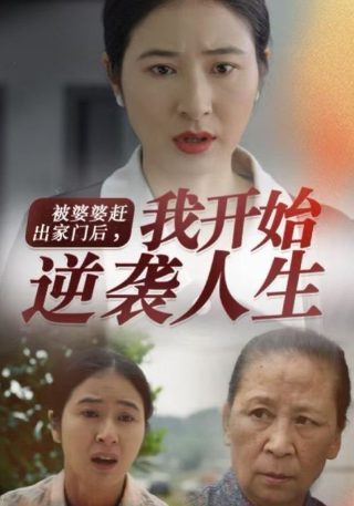 间谍过家家3免费观看中文版动漫