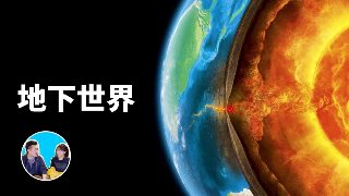 神舟官网首页驱动
