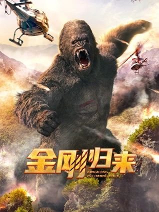 回家240关攻略