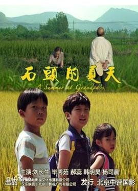 王树声征战豫西在线观看