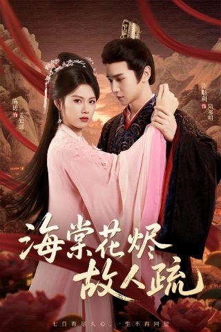 乘风2024超清在线观看