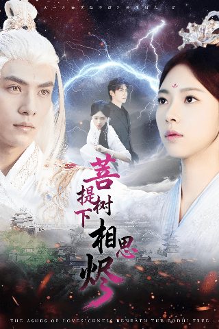 钱作怪阿英结局