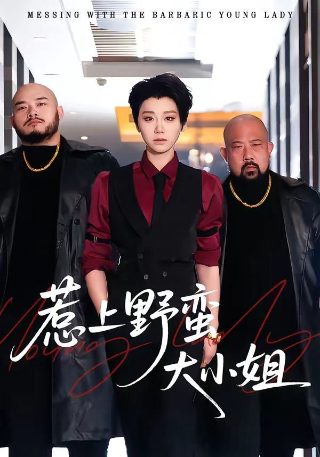 乡村名流电视剧2