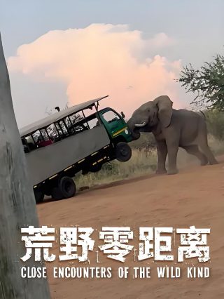 蓝色时期第八集在线观看高清