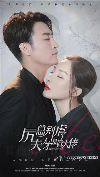 美人攻略网剧在线播放完整版高清下载
