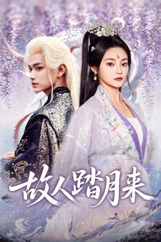 炸裂白宫在线观看 星空影视