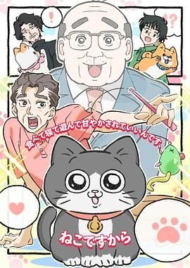 假日暖洋洋18集剧情介绍大全