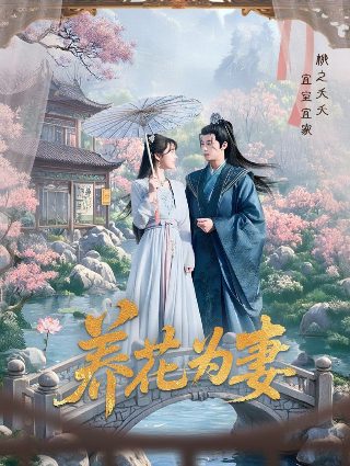 七海游侠破谍网在线观看