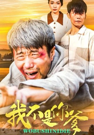 电视剧《鼓楼外》好看吗知乎
