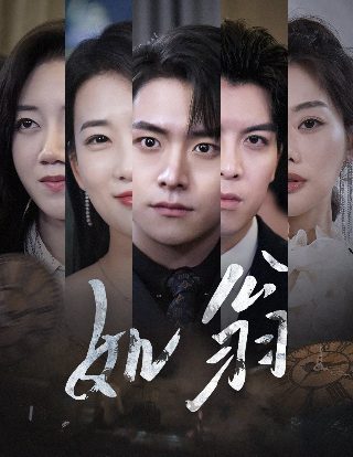 斗罗大陆第242集在线观看动漫