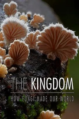 青春舞曲学生版课桌舞视频大全