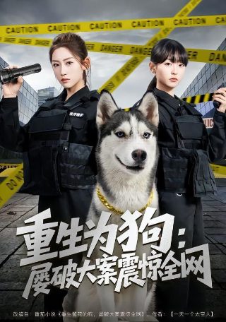 长白灵蛇传剧情详解