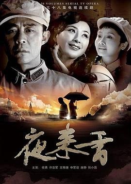以家人之名电视剧免费观看第21集