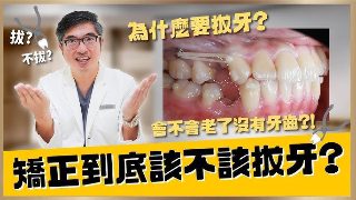 你是我的荣耀电视剧免费观看1-32集网盘