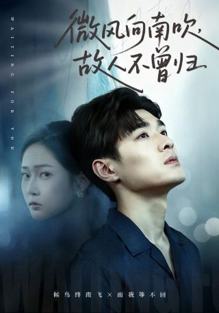 九义人14电视剧全集免费观看