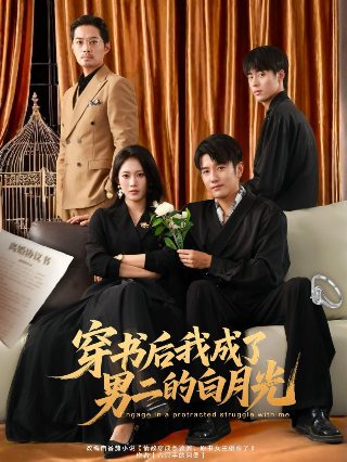 电影《老虎》免费播放全集视频大全下载百度云