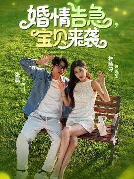 愿望树绘本故事内容图片简单版