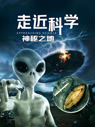 良心盒饭