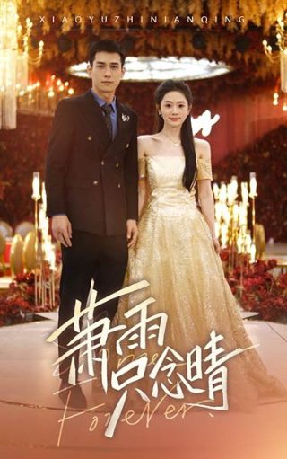 电视剧湄公河行动的主演是谁