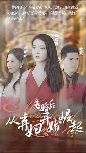 麻辣女兵电视剧分集介绍
