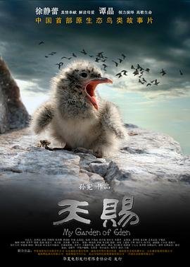 温暖的弦第38集剧情介绍大结局是什么意思