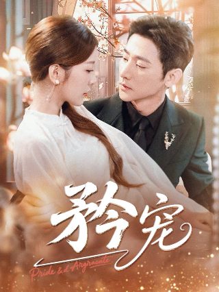 炮神电视剧全集在线观看免费版