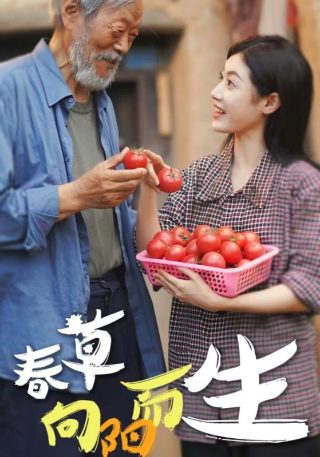 九岁神探第二季