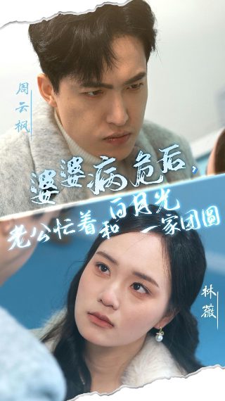 火影主题曲青鸟歌词是什么意思