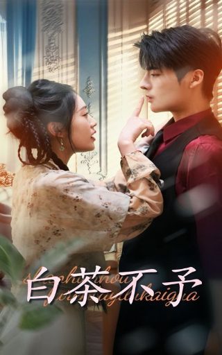电视剧《暴风眼》在线观看全集免费高清版