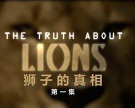 至爱梵高电影创作特点是什么意思