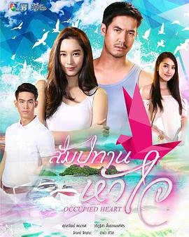 爱情真善美第17集央视