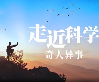 林世荣电视剧主题曲