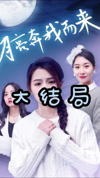 归去来35集